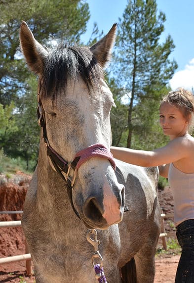 Lea MONTERO - Massage Equin Canin