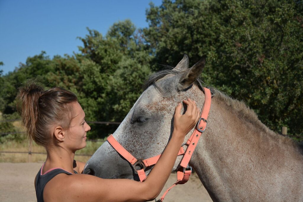 Lea MONTERO - Massage Equin Canin_28